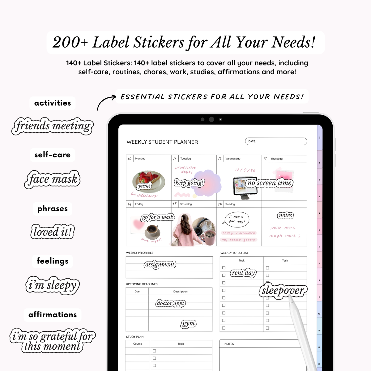 200+ Everyday Essential Planner Stickers