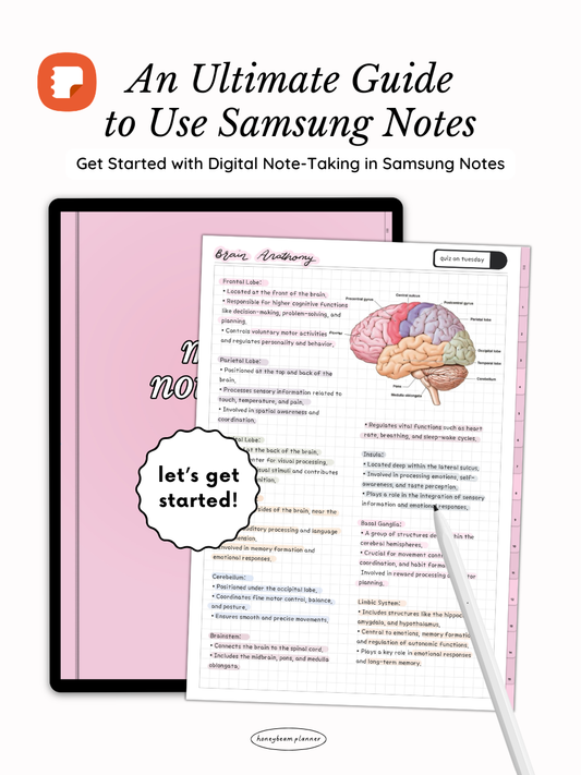 Ultimate Samsung Notes Guide for Beginners