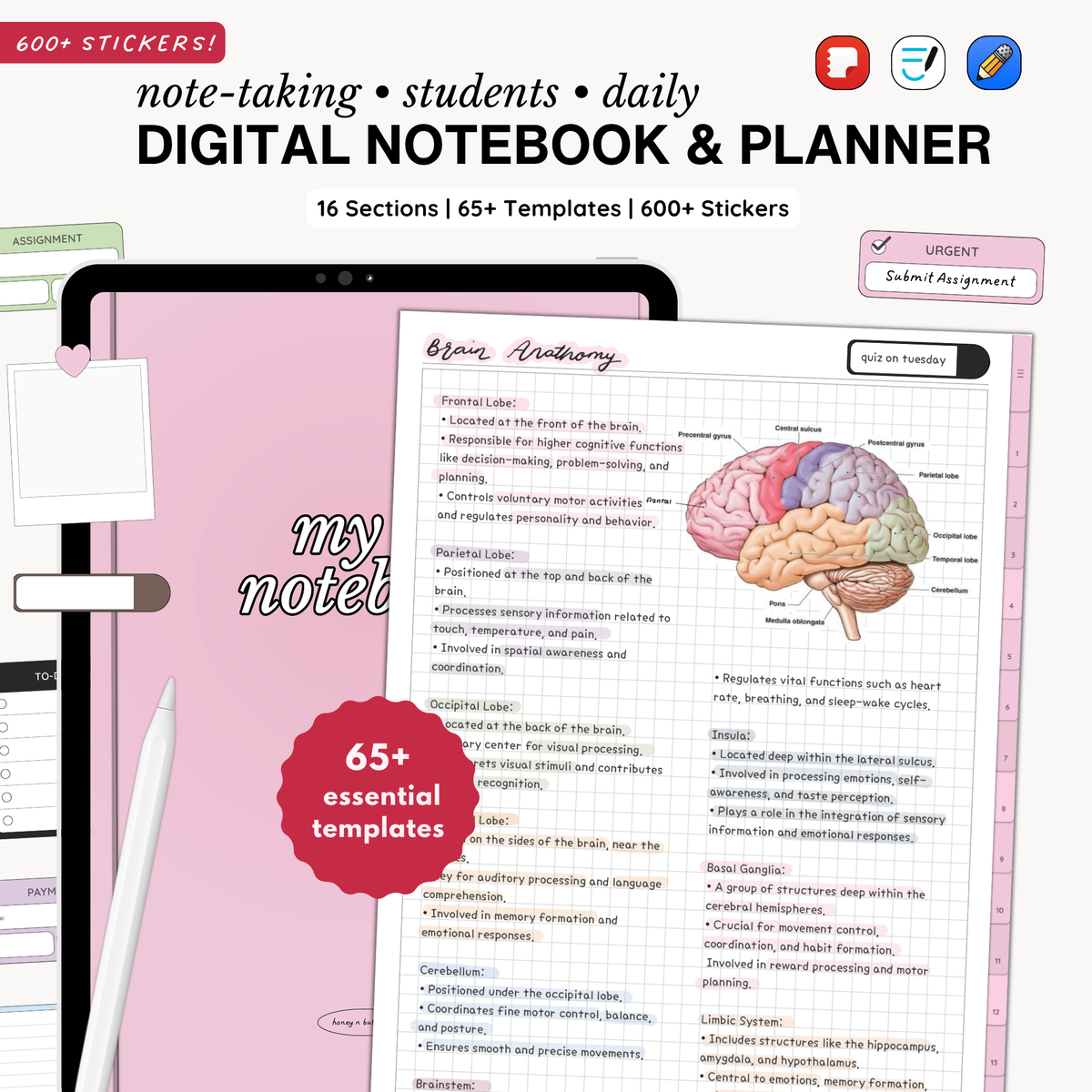 Everyday Digital Notebook (Candy)