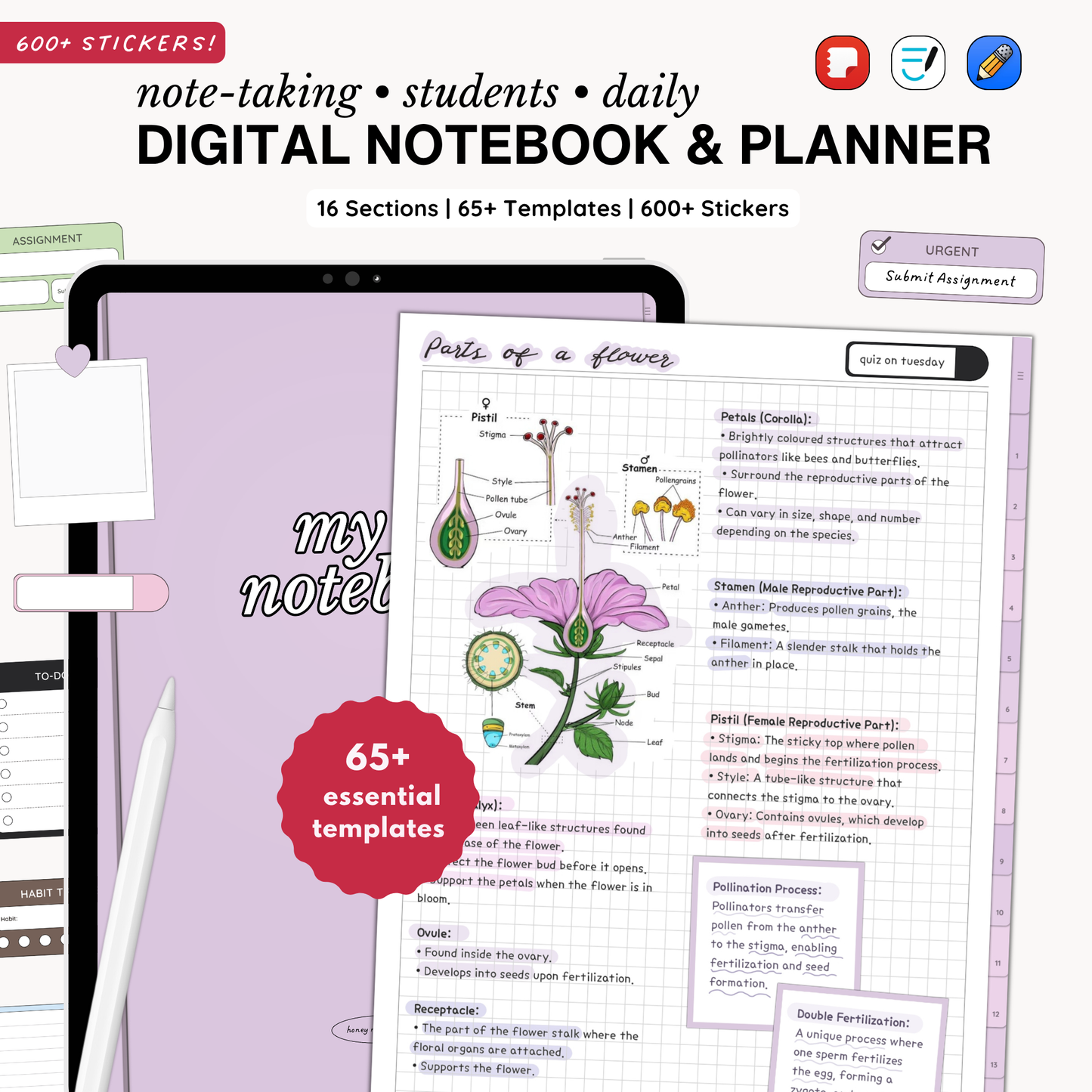 Everyday Digital Notebook (Lavender)
