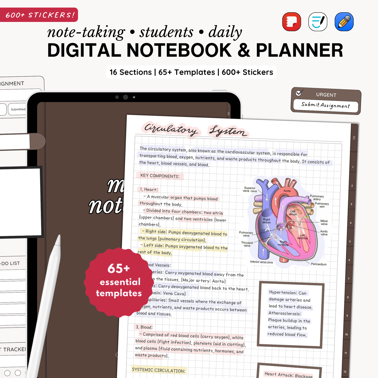 Everyday Digital Notebook (Chocolate)