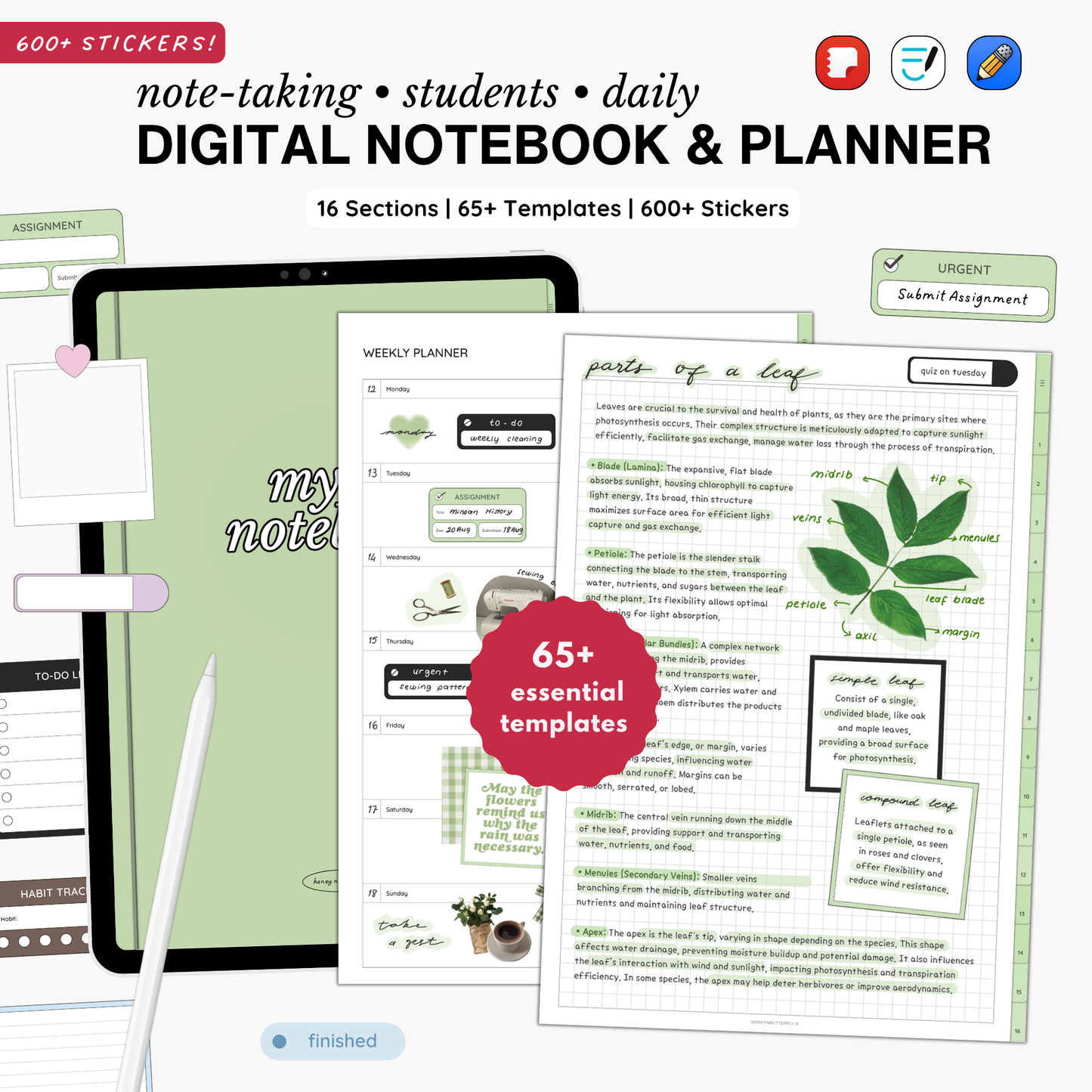 Everyday Digital Notebook (Matcha)