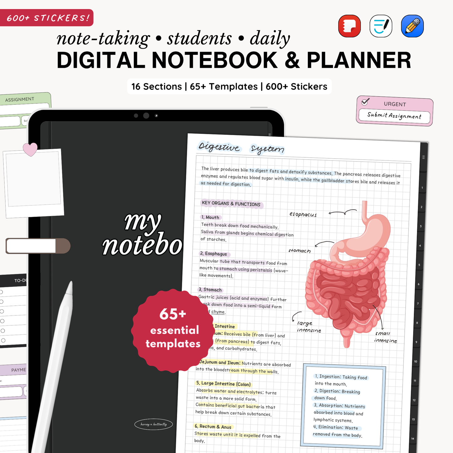 Everyday Digital Notebook (Charcoal)