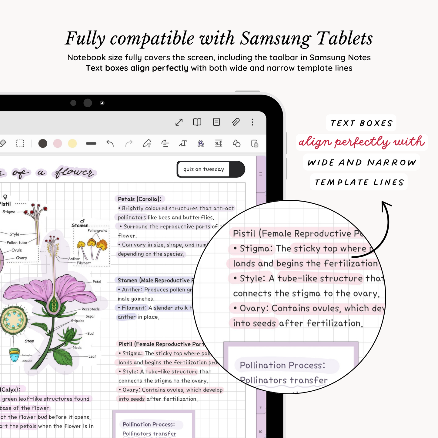 Everyday Digital Notebook (Lavender)