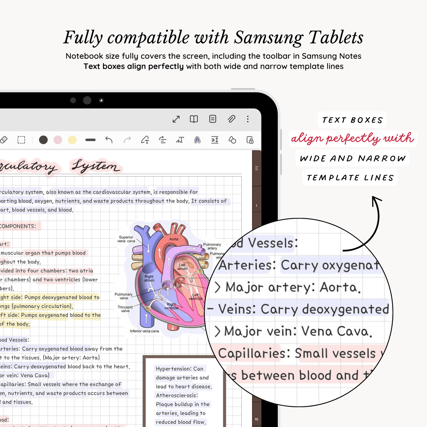 Everyday Digital Notebook (Chocolate)