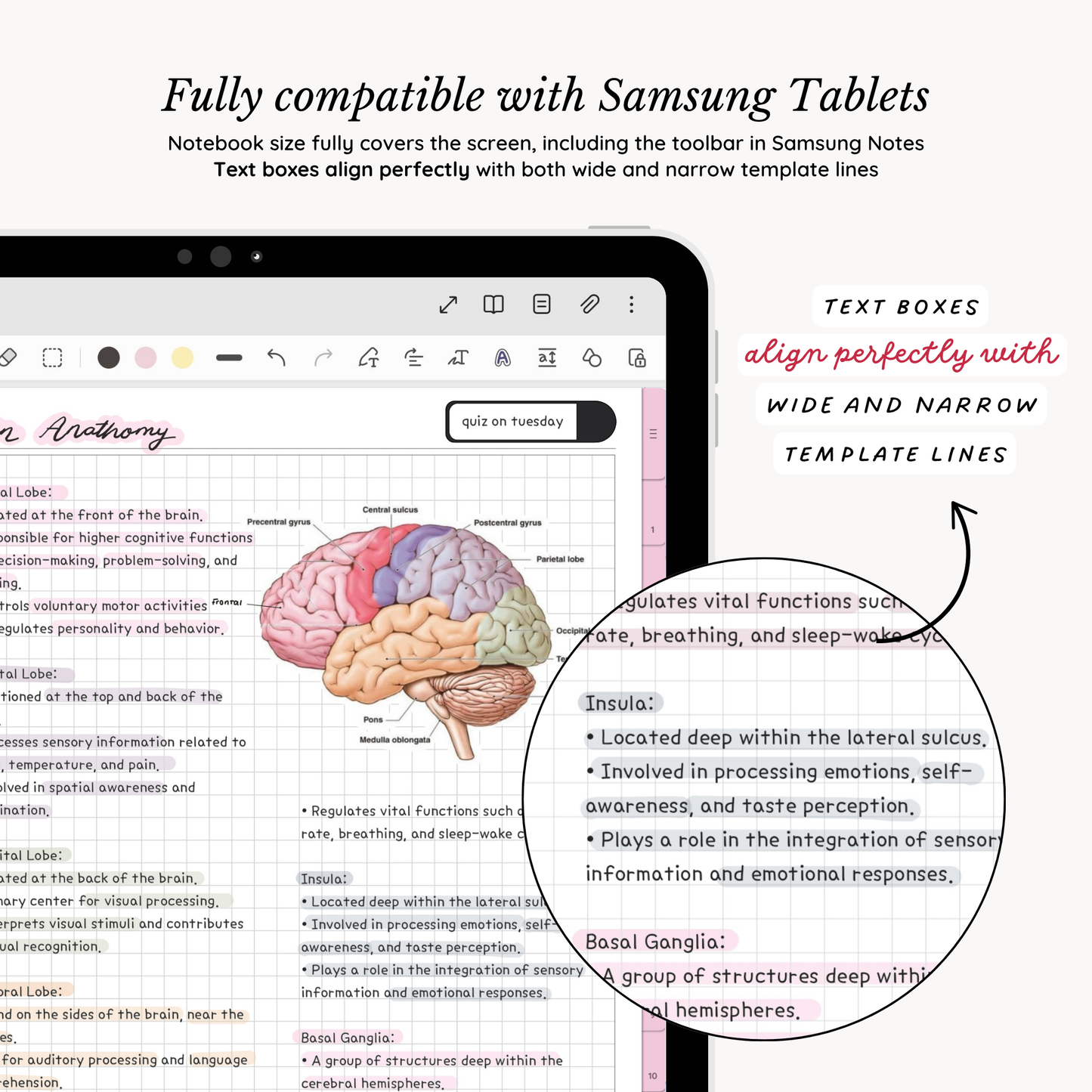 Everyday Digital Notebook (Candy)