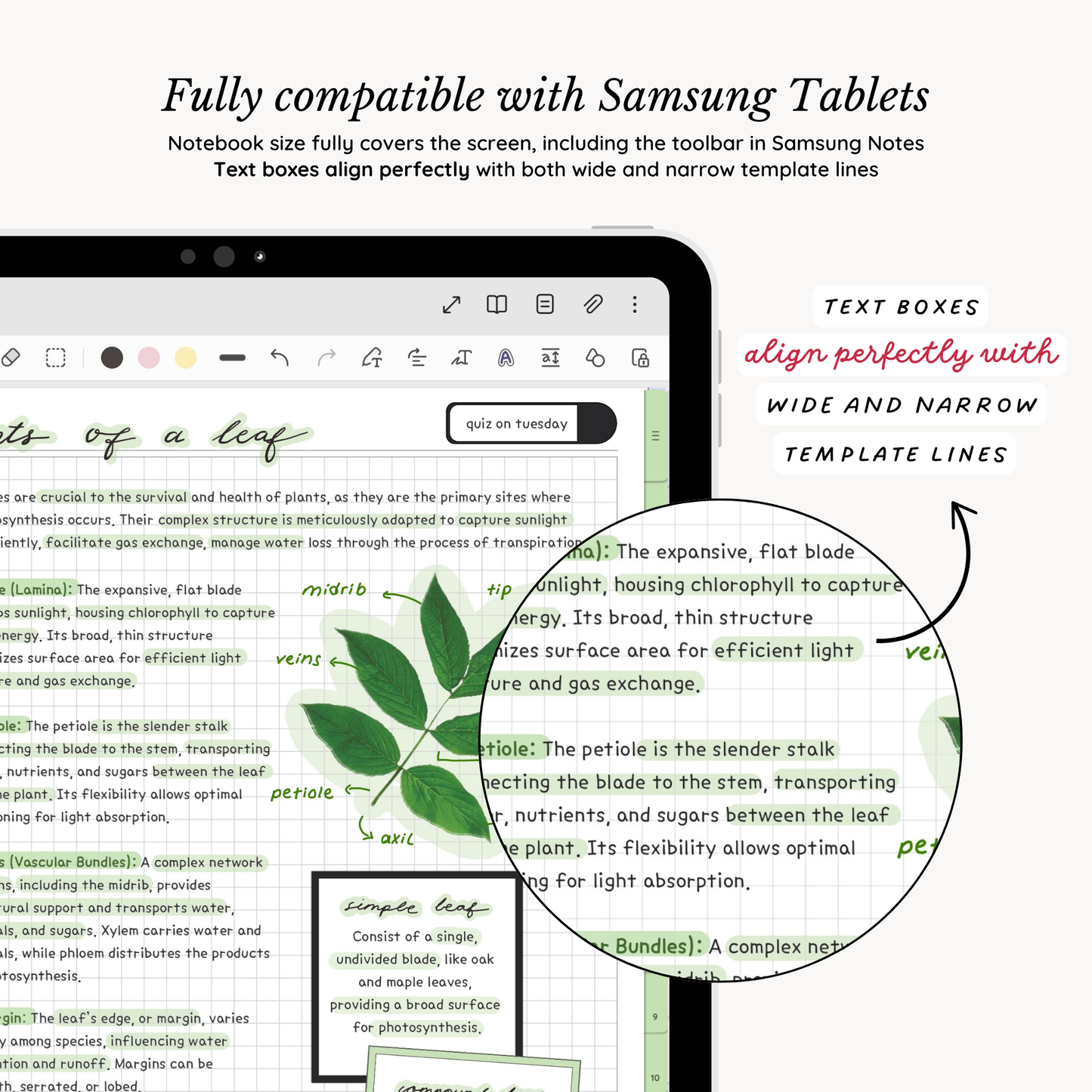 Everyday Digital Notebook (Matcha)