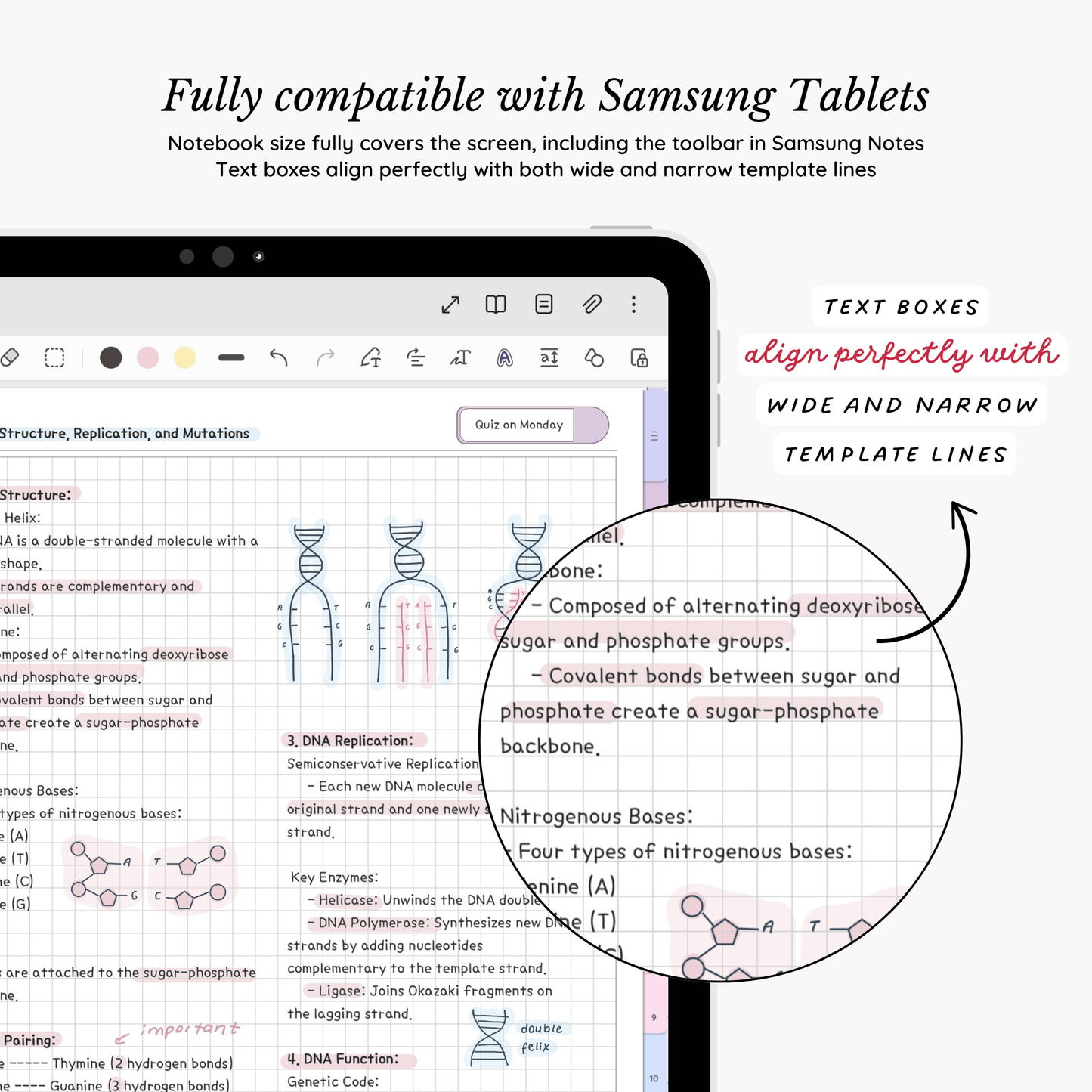 Everyday Digital Notebook (Bubble)