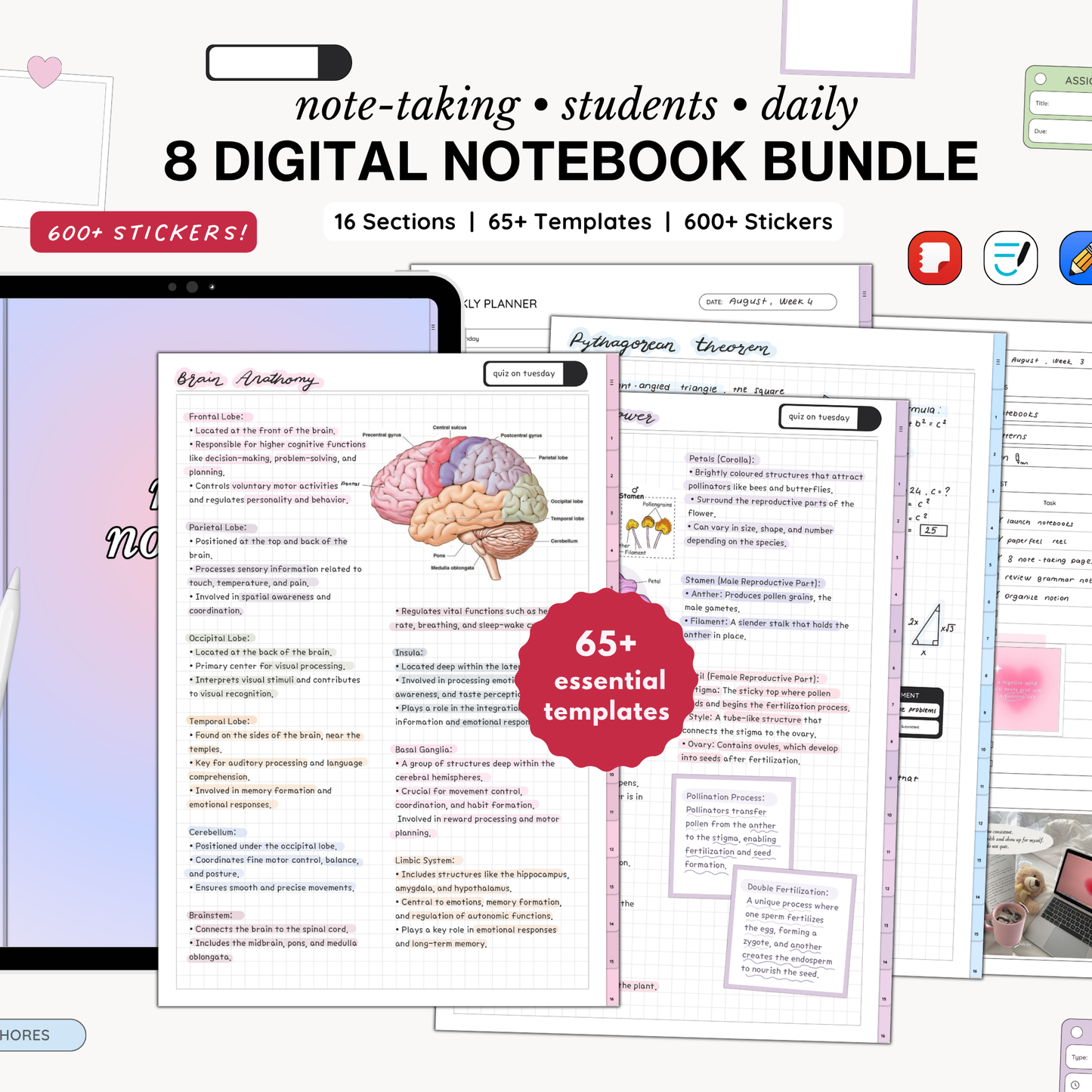 8 Digital Notebook & Planner BUNDLE